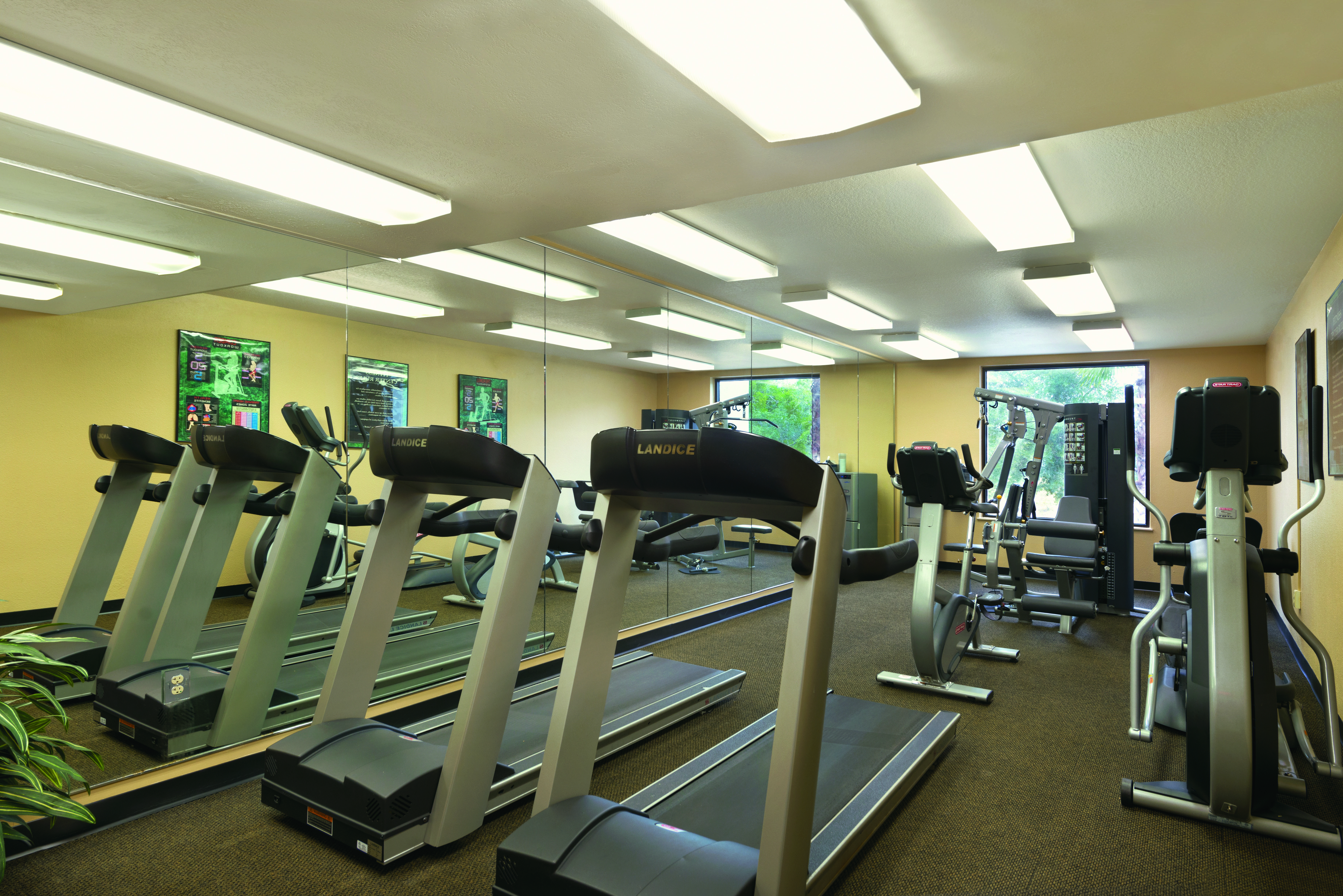 Buena Vista Suites Orlando Lake Buena Vista Kültér fotó 3D rendering of a gym interior design